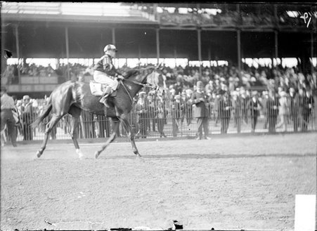 Racehorse, Mary McCafferty, with jockey mounted, walking on track near grandstand, Washington Park Race Track - Chicago Daily News, Inc.