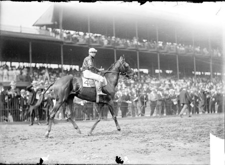 Racehorse, Proceeds, with jockey mounted, walking on muddy racetrack by grandstand, Washington Park Race Track - Chicago Daily News, Inc.
