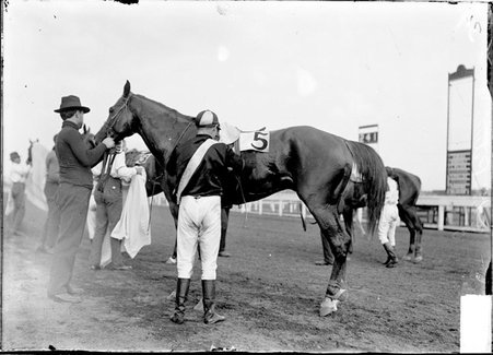 Racehorse, John Peters, standing on track, being attended by handler and jockey, Washington Park Race Track - Chicago Daily News, Inc.