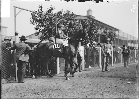 Racehorse, Mims, with jockey mounted, entering the racetrack through a gate - Chicago Daily News, Inc.