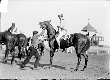 Racehorse, Love Sidney C, with jockey mounted, being controlled by African American handler on track, Washington Park Race Track - Chicago Daily News, Inc.