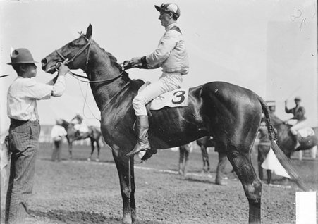 Racehorse, Foxy Kane, with jockey mounted, standing on the track, Washington Park Race Track - Chicago Daily News, Inc.