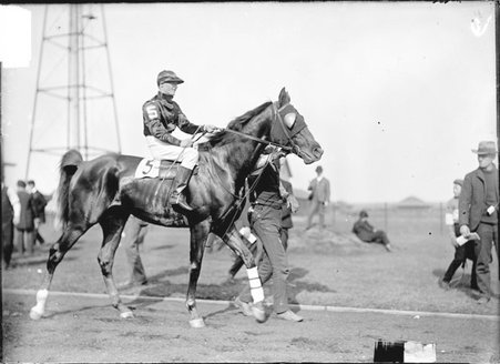 Racehorse, Owenton, with jockey mounted, being led across a paddock - Chicago Daily News, Inc.