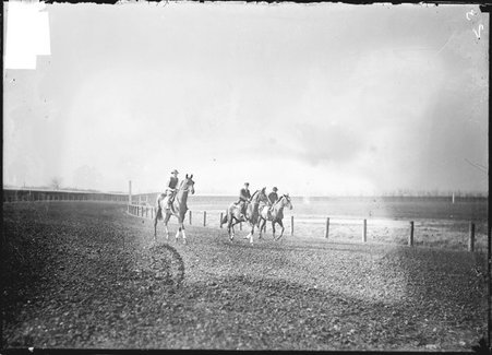 Horse racing, Worth Race Track, three horses and riders turning a bend on track - Chicago Daily News, Inc.