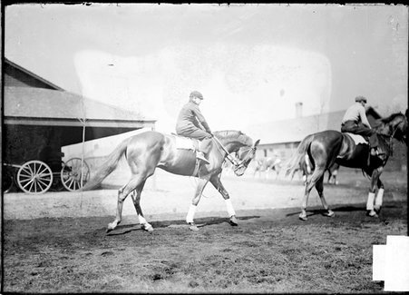 Horse racing, jockey, Wilson riding racehorse, Censor, behind another horse in paddock area - Chicago Daily News, Inc.