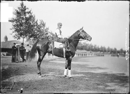 Racehorse, Delmonico, with African American rider mounted, standing in paddock area - Chicago Daily News, Inc.
