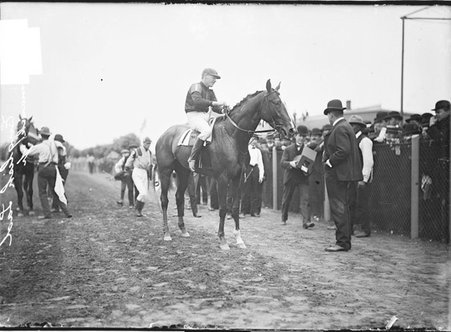 Racehorse, English Lad, with jockey mounted, standing on racetrack near fence lined with spectators - Chicago Daily News, Inc.