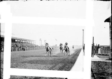 Horse racing, Harlem Race Track, four horses with jockeys mounted, racing along inner track - Chicago Daily News, Inc.