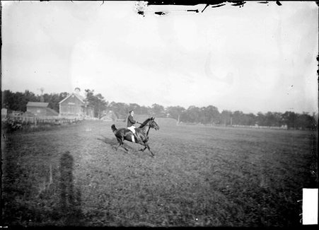 Unidentified hunter riding a horse near the hound training area at the Onwentsia Country Club in Lake Forest, Illinois - Chicago Daily News, Inc.