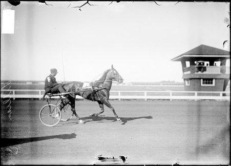 Racehorse Lillian, and driver, riding on a two-wheeled racing cart behind the horse, on track during the Libertyville Trotting Races - Chicago Daily News, Inc.
