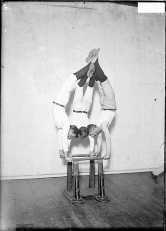 Men performing handstands on a pair of short, low parallel bars - Chicago Daily News, Inc.