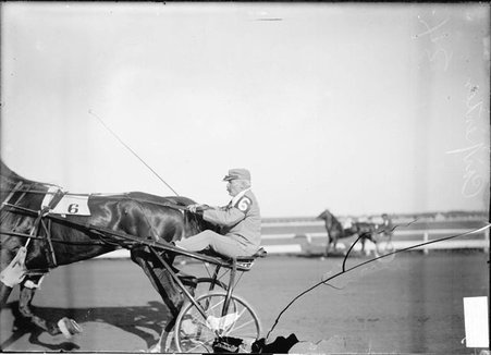 Racehorse, Advancer, harnessed to a two-wheeled racing cart driven by Carpenter, both wearing number 6, Libertyville Trotting Races - Chicago Daily News, Inc.