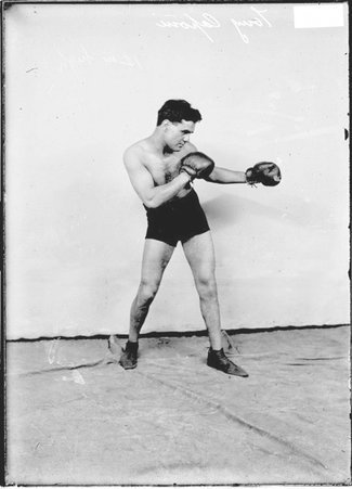 Pugilist Tony Caponi, standing in profile in a boxing stance in front of a light-colored backdrop in a room - Chicago Daily News, Inc.