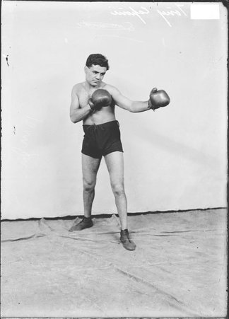 Pugilist Tony Caponi, facing to the right of the camera, standing in a boxing stance in front of a light-colored backdrop in a room - Chicago Daily News, Inc.