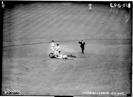 Washington Senators vs. Chicago White Sox - Chicago Daily News, Inc.