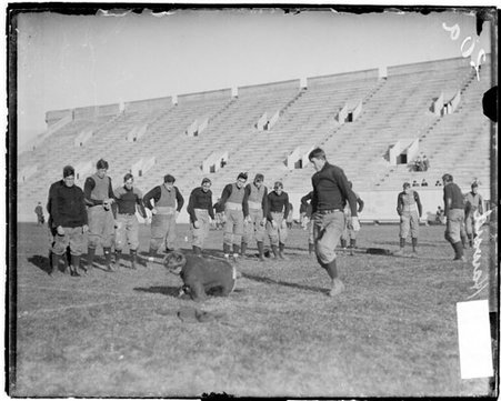 Unidentified Harvard University football player, lying on his side on the ground on an athletic field - Chicago Daily News, Inc.