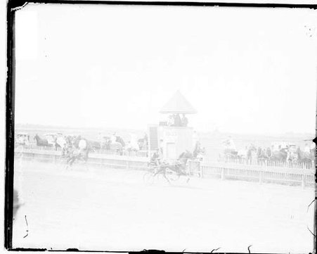 Dark-colored racehorse harnessed to a carriage racing on a racetrack - Chicago Daily News, Inc.