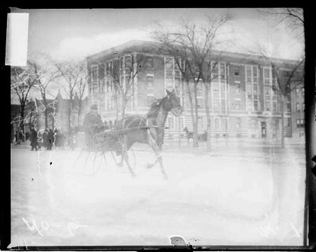 Racehorse J. Martha harnessed to a carriage sled, trotting on a snow-covered street - Chicago Daily News, Inc.