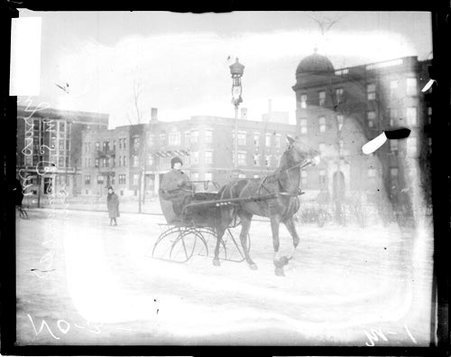 Racehorse M. Cyrus harnessed to a carriage sled, standing on a snow-covered street - Chicago Daily News, Inc.