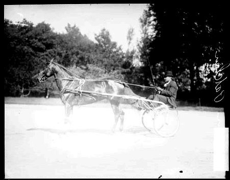Horse Dean Patchen harnessed to a carriage, pulling the carriage on a road - Chicago Daily News, Inc.