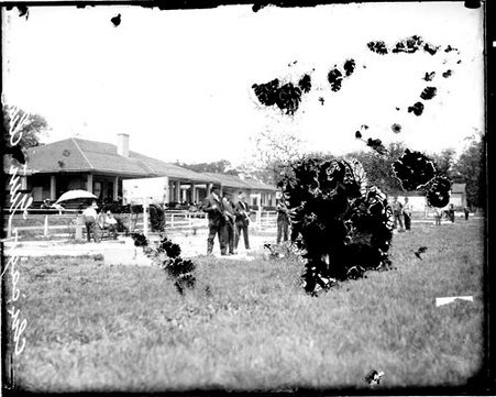 Men holding rifles standing in a row on a field at the Chicago Gun Club, a building is visible in the background - Chicago Daily News, Inc.