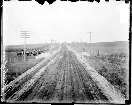 Stretch of road on the south leg of a course used in an automobile race in Elgin - Chicago Daily News, Inc.