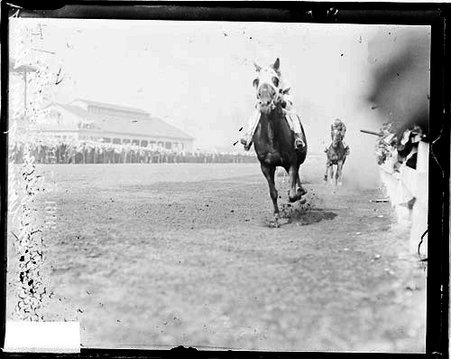 Race horse, Dodge galloping toward camera during race - Chicago Daily News, Inc.