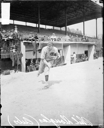 Baseball player, Phil Douglas standing in front of dugout throwing ball on field with spectators visible in background, Cubs - Chicago Daily News, Inc.
