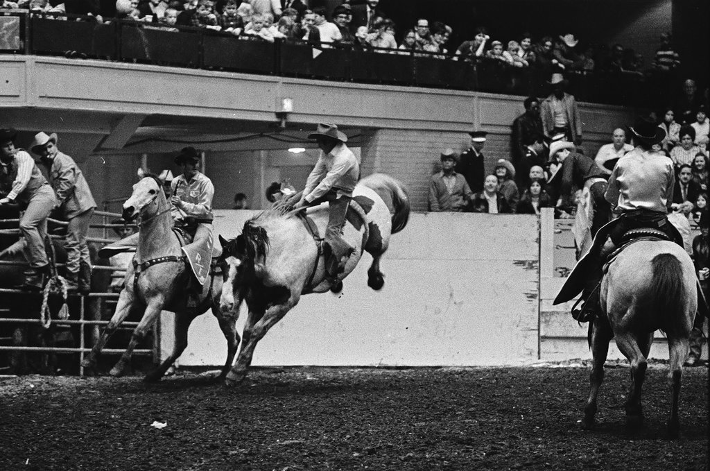 1970 International Livestock Show - Chicago Sun-Times