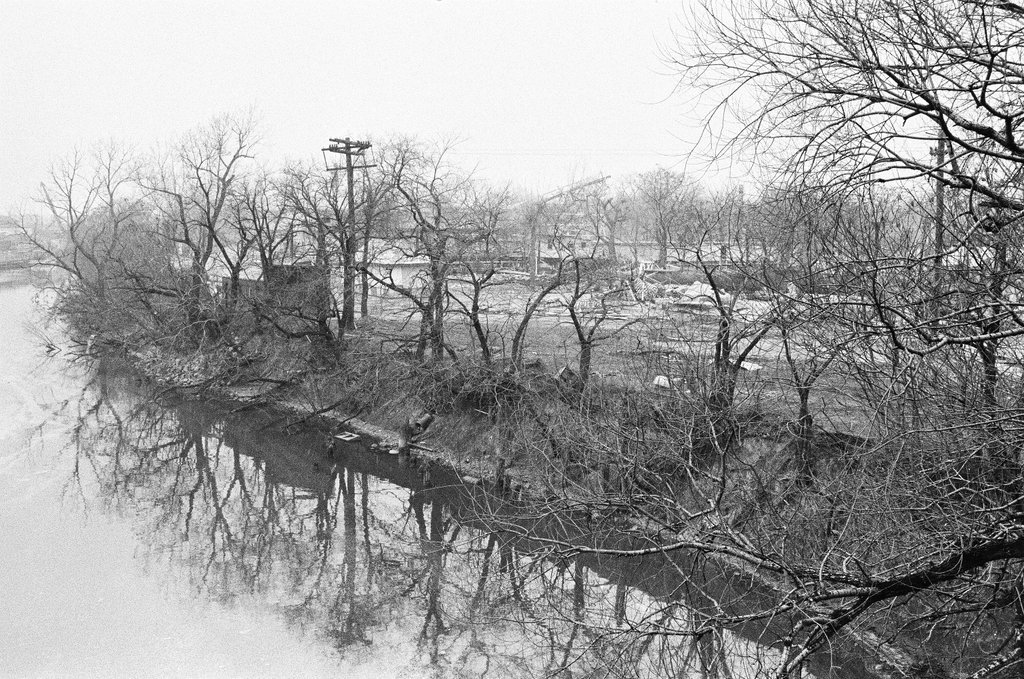 Tree reflections in the Chicago River near Riverview Park - Chicago Sun-Times