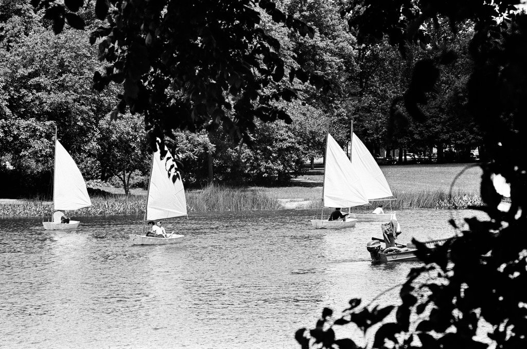 Kids sailing in Humboldt Park Lagoon - Chicago Sun-Times