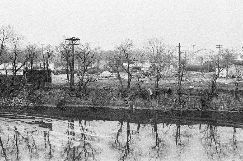 Tree reflections in the Chicago River near Riverview Park - Chicago Sun-Times