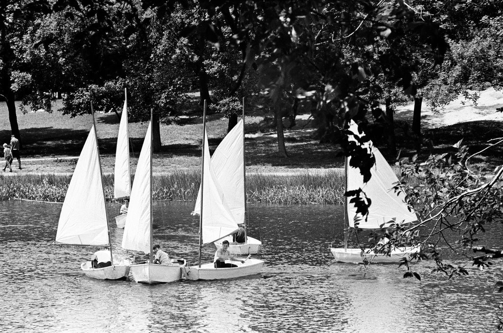 Kids sailing in Humboldt Park Lagoon - Chicago Sun-Times