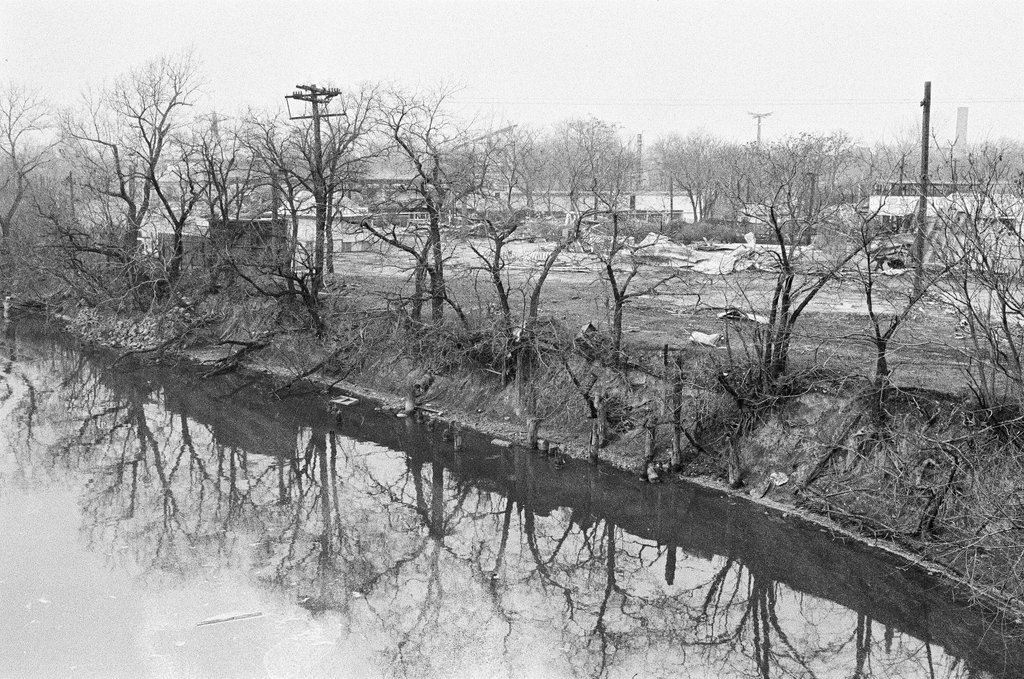 Tree reflections in the Chicago River near Riverview Park - Chicago Sun-Times