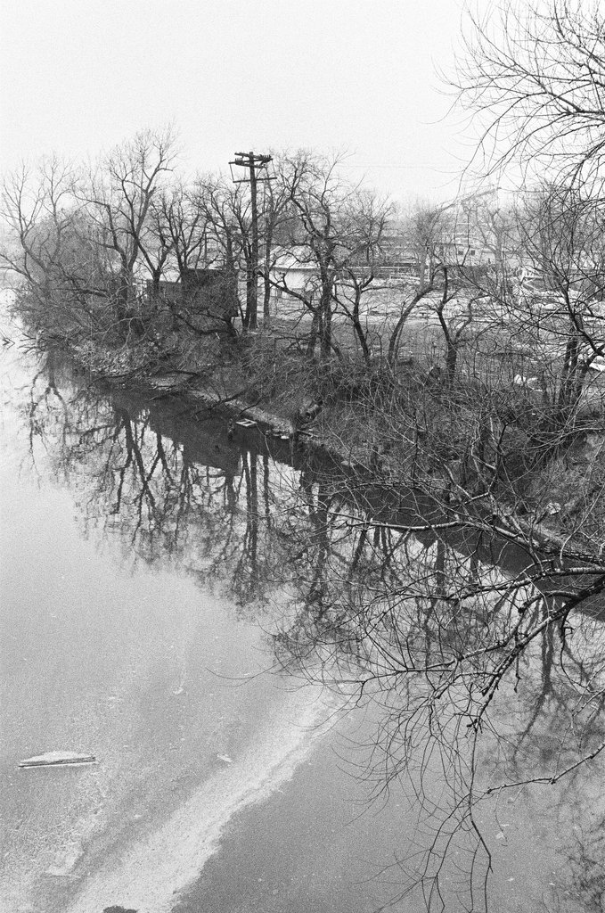 Tree reflections in the Chicago River near Riverview Park - Chicago Sun-Times