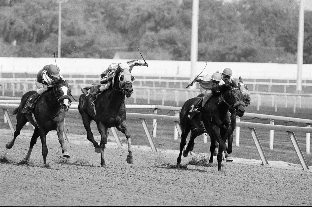 Arlington Park opening day - Bob Langer for Chicago Sun-Times