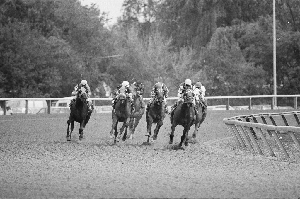 Arlington Park opening day - Bob Langer for Chicago Sun-Times