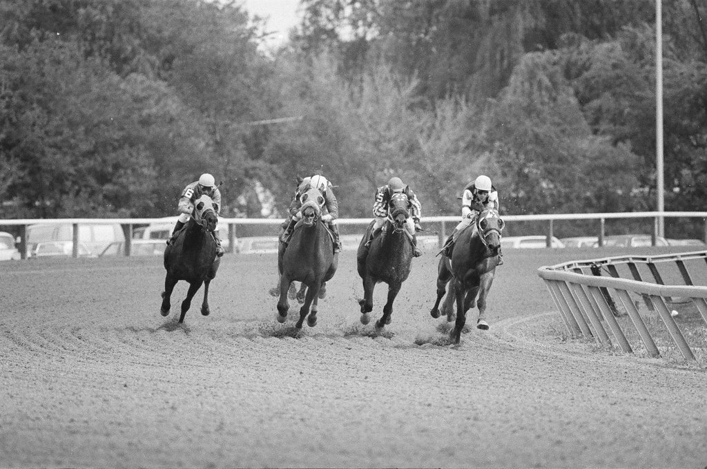 Arlington Park opening day - Bob Langer for Chicago Sun-Times