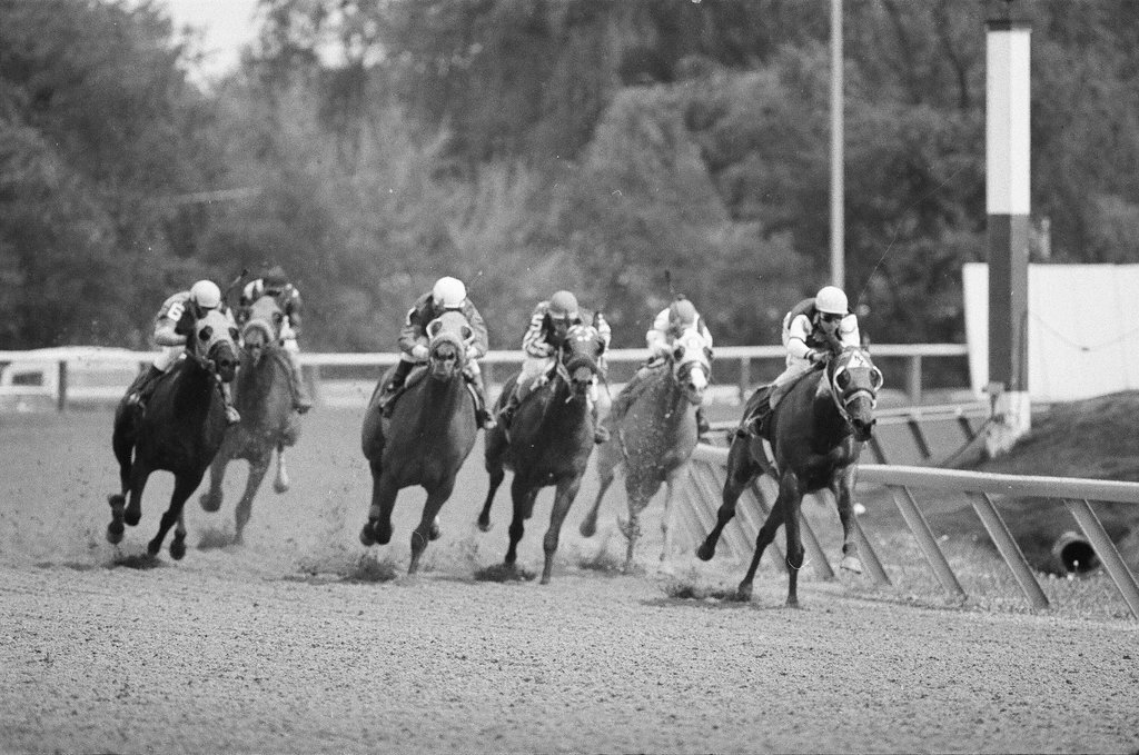 Arlington Park opening day - Bob Langer for Chicago Sun-Times