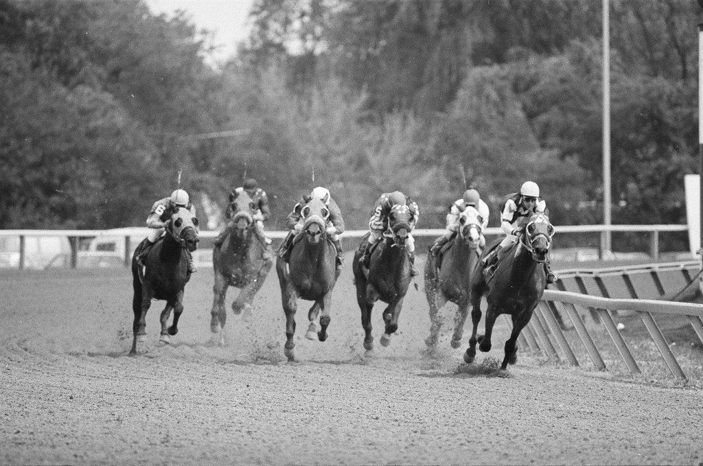 Arlington Park opening day - Bob Langer for Chicago Sun-Times