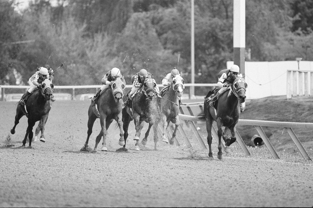 Arlington Park opening day - Bob Langer for Chicago Sun-Times