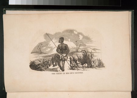 Illustration titled The Negro in His Own Country