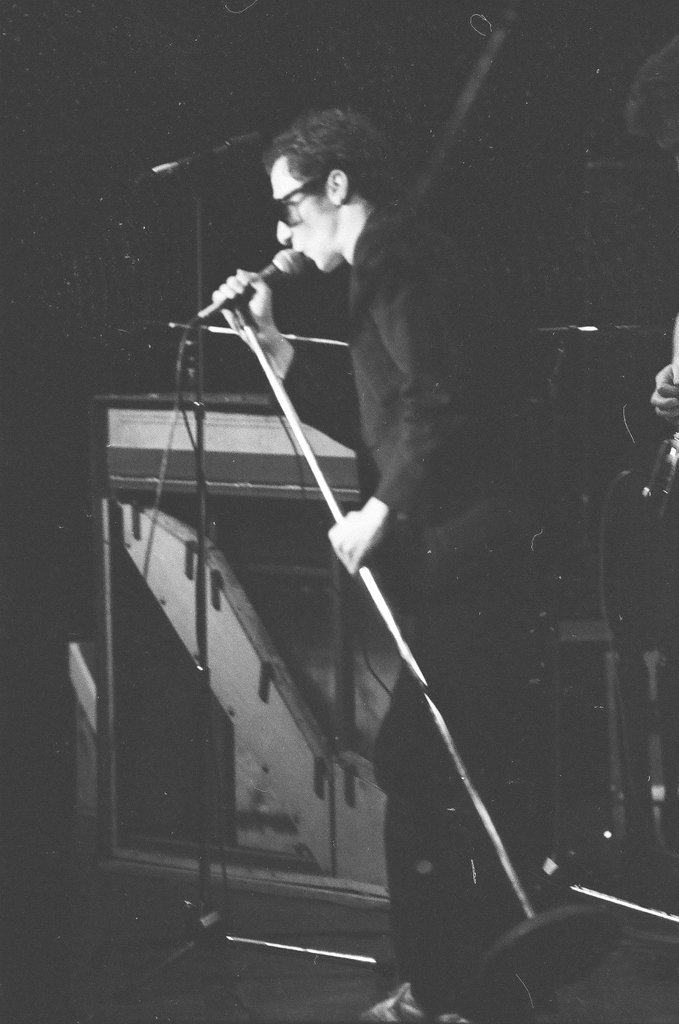 Graham Parker in concert - Jim Mescall for Chicago Sun-Times