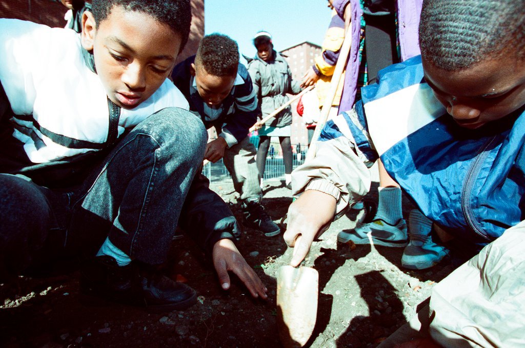 Kids plant flower bulbs at Robert Taylor Homes - Chicago Sun-Times