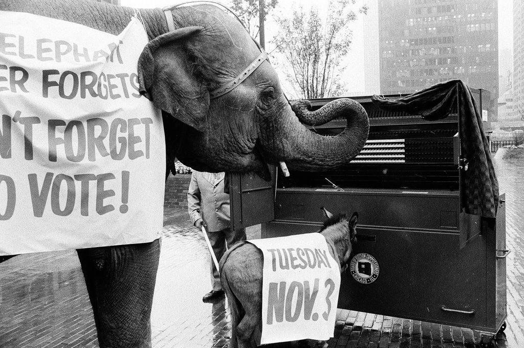 Elephant and donkey pose outside Equitable Building reminding people to vote - Chicago Sun-Times