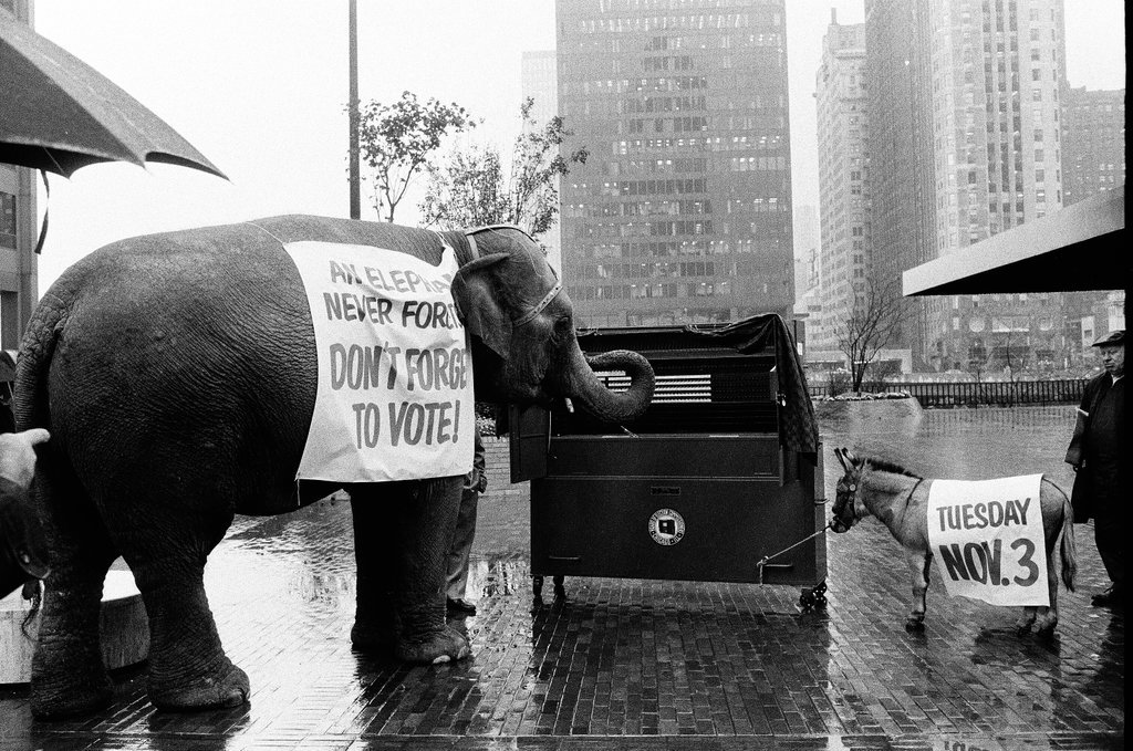 Elephant and donkey pose outside Equitable Building reminding people to vote - Chicago Sun-Times