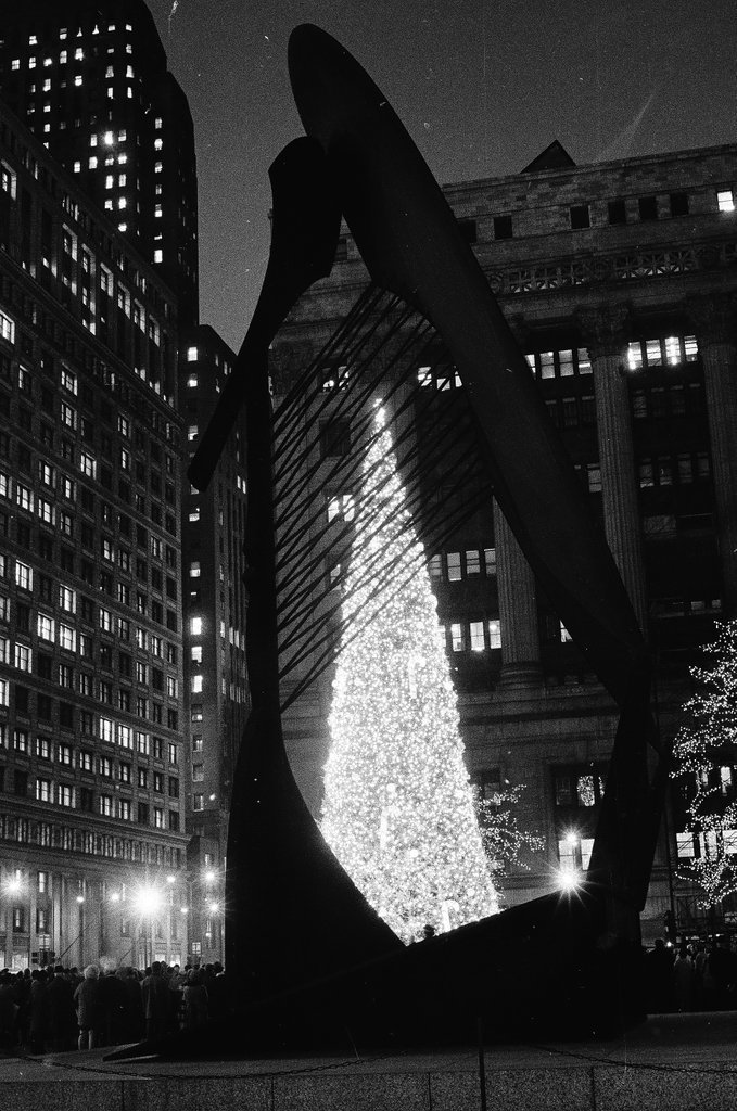 Civic Center Christmas tree seen through the Picasso scultpture - Chicago Sun-Times