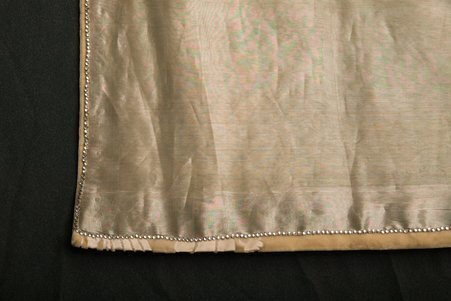 Dress train worn by Bertha Palmer - House of Worth (Firm)
