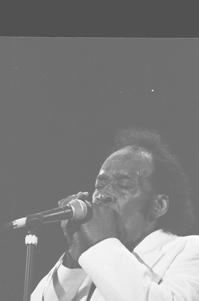 Blues Fest in Grant Park - Chicago Sun-Times