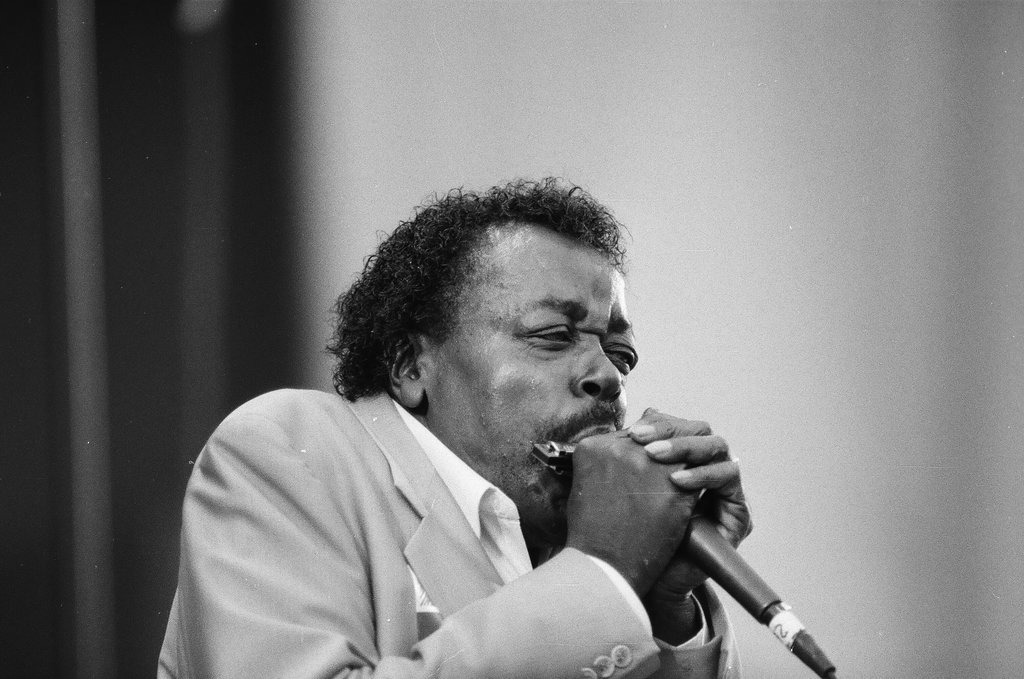 Blues Fest in Grant Park - Chicago Sun-Times
